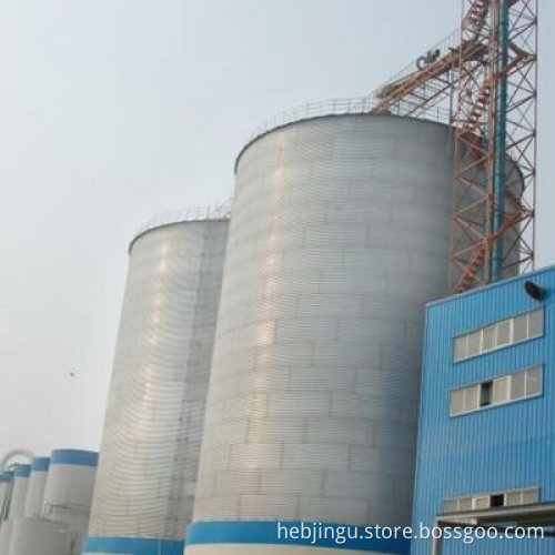 1000 Ton Grain Silo